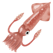 イカのイラスト