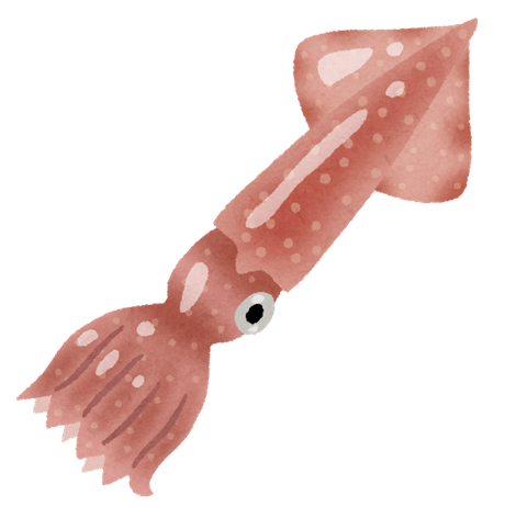 イカのイラスト