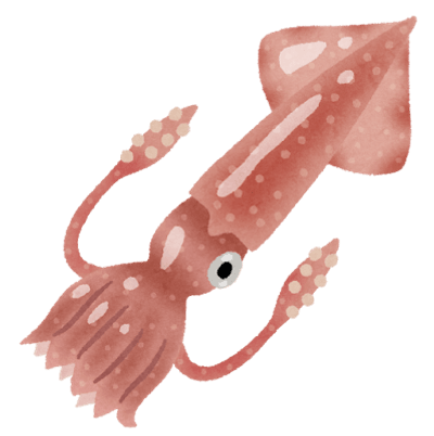 ケンサキイカ（剣先イカ）のイラスト